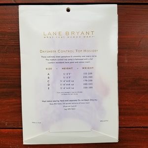 Lane Bryant Accessories - NIP Lane Bryant Daysheer Control Top Size D Lane Bryant Accessories - NIP Lane Bryant Daysheer Control Top Size D